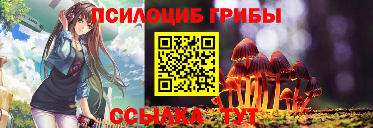 где купить наркоту  Вход с VPN  Галлюциногенные грибы Magic Shrooms  Нижнекамск  Псилоцибиновые грибы Psilocybine cubensis 